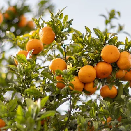 731 Costa Cabral Metro Apartmán *